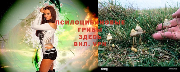эйфоретик Алексеевка