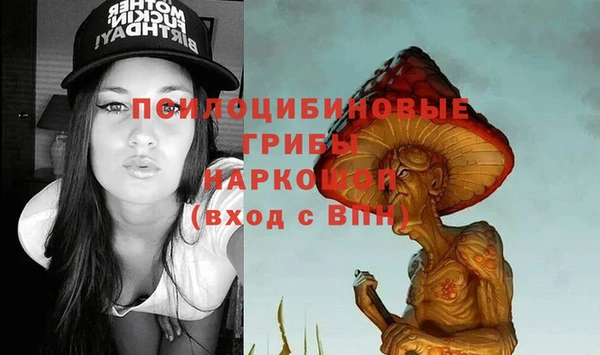 apvp Алексин