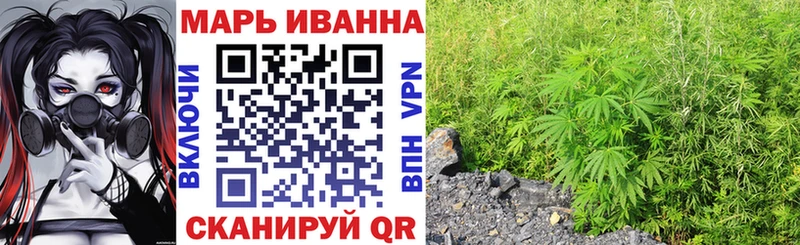 где купить наркотик  Сясьстрой  Шишки марихуана планчик 